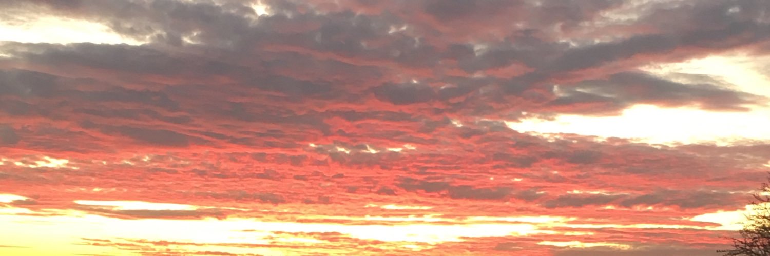lledgend1's profile banner image