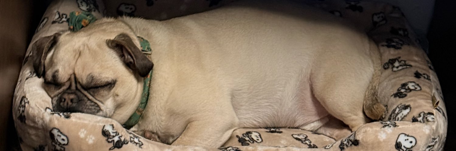 Kryp 🗡️ banner