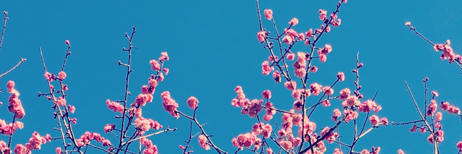 maiko_fraise's profile banner image