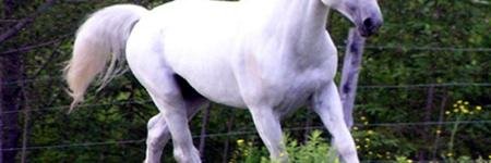 Eddo_61's profile banner image