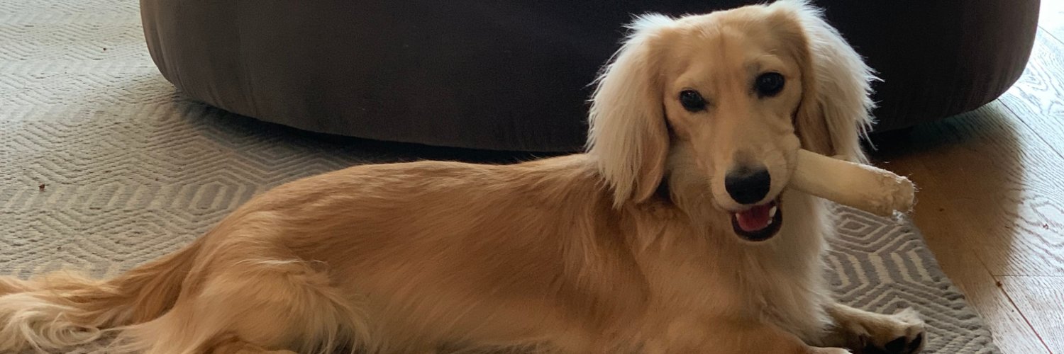 NikiBlasina's profile banner image