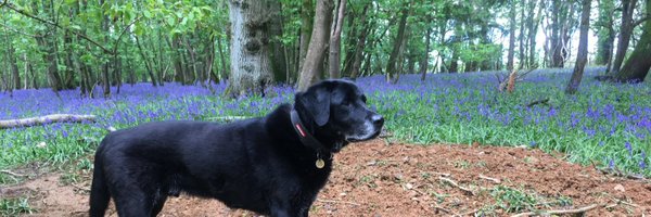 emeliobedelio Profile Banner