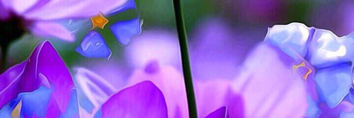 63kuwa's profile banner image