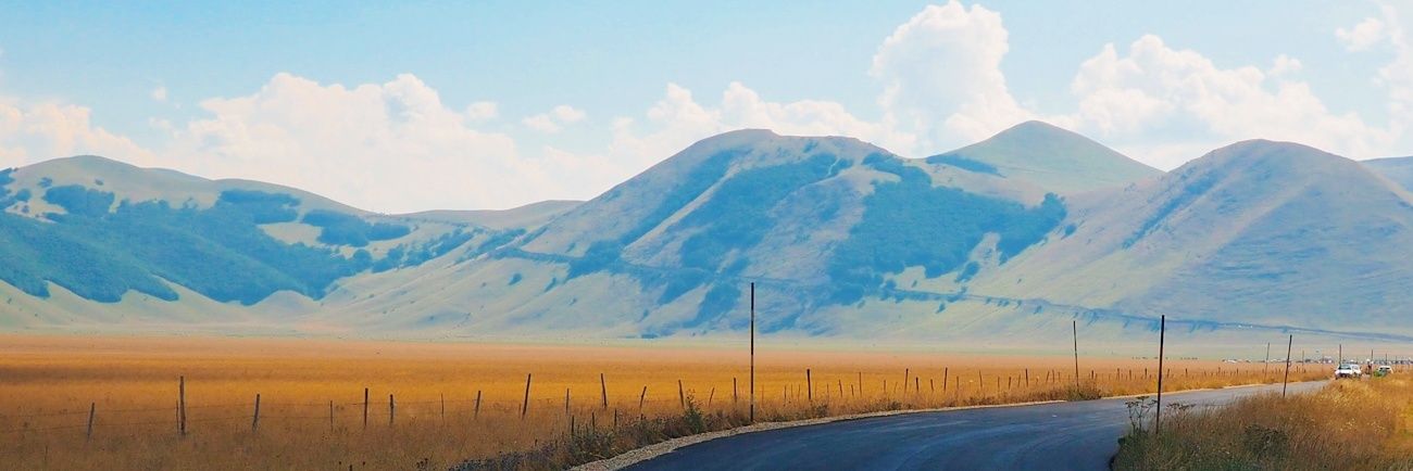 Roberta Romagnoli banner