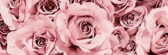 Bailley_Turner's profile banner image