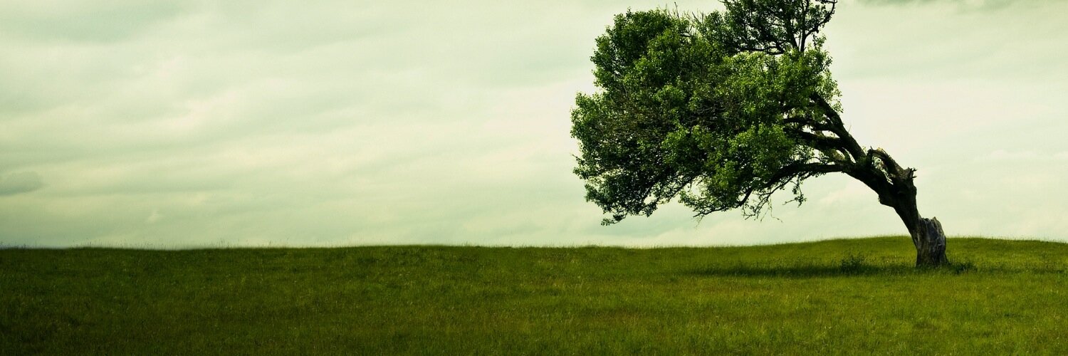 zallender's profile banner image