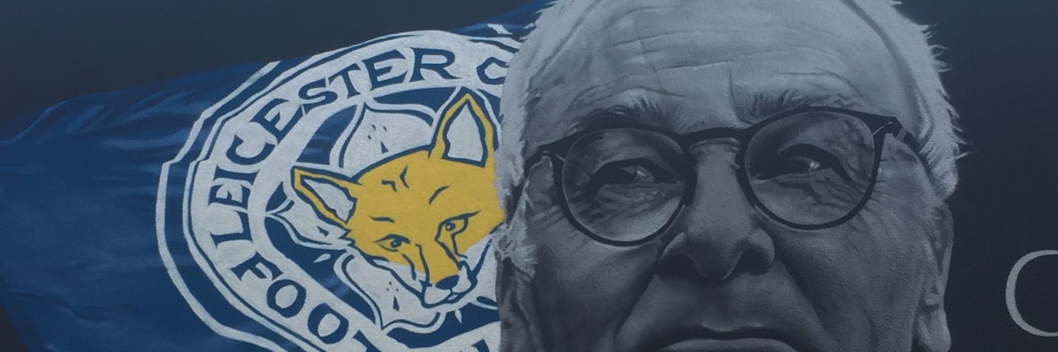 srsfoxfan's profile banner image