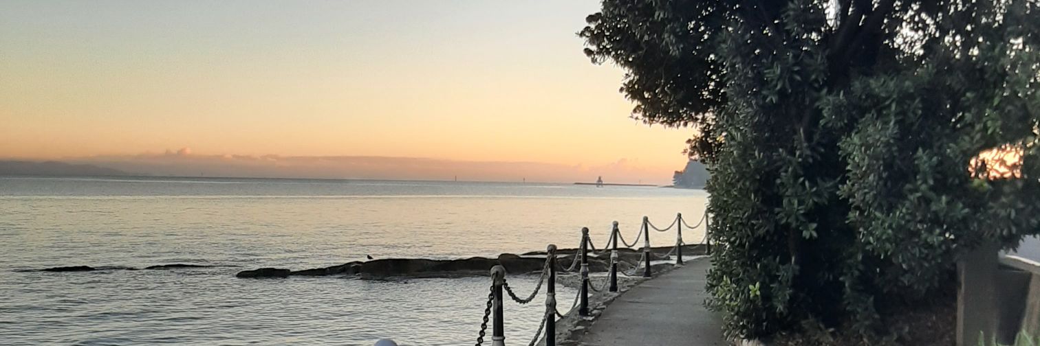 Jessica Roden banner