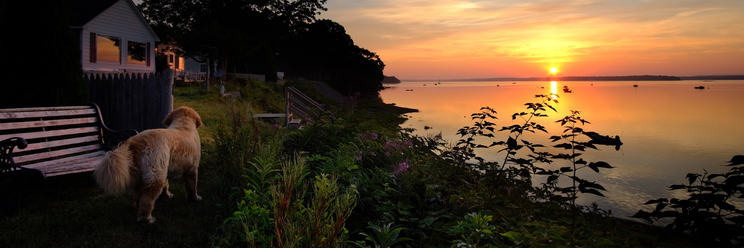 Wonder Pixels banner