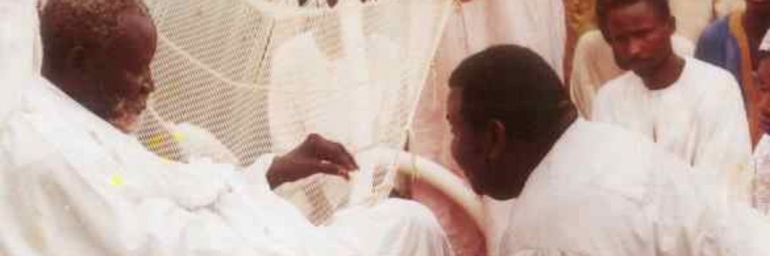 Sarsaara🦋♥️ banner