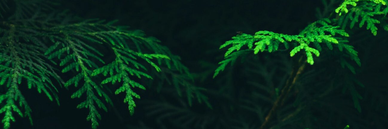 eg0centric0_0's profile banner image