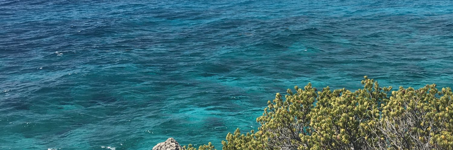 morisclearwater's profile banner image