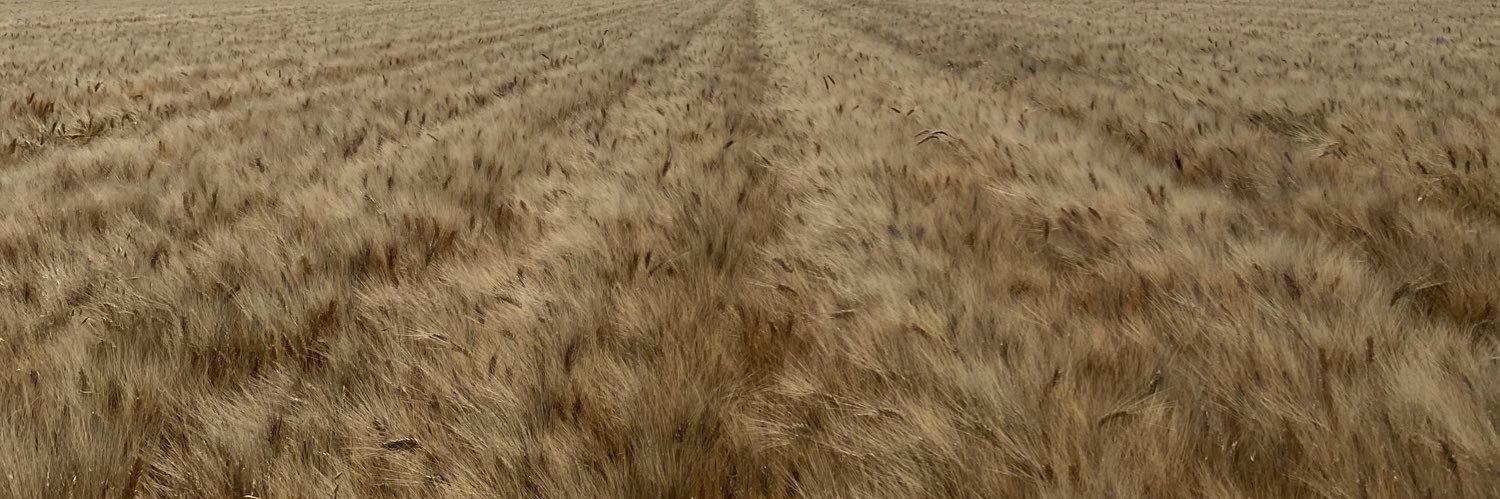 xakps's profile banner image