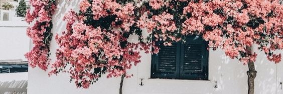 alykalikes's profile banner image