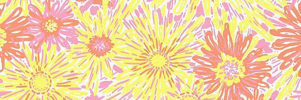 ficusmarie's profile banner image
