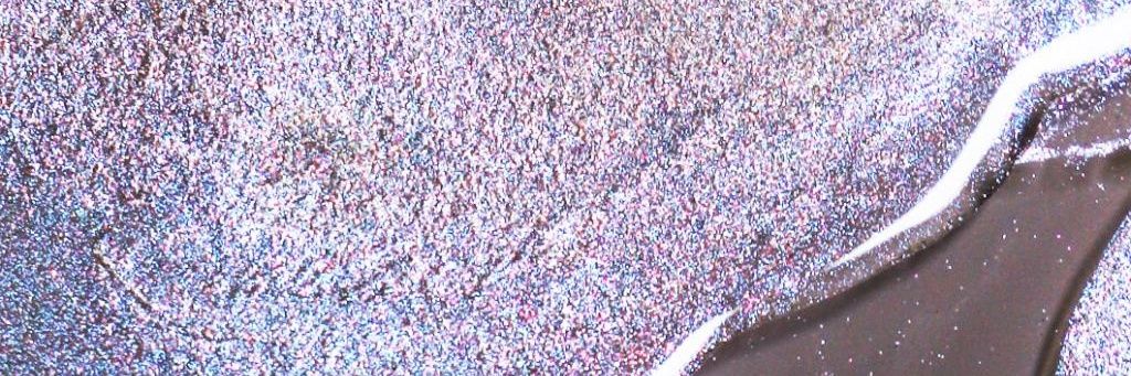 nsglopez's profile banner image