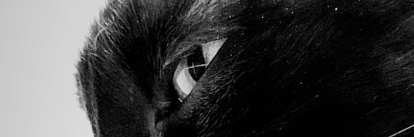 isa_borgs's profile banner image
