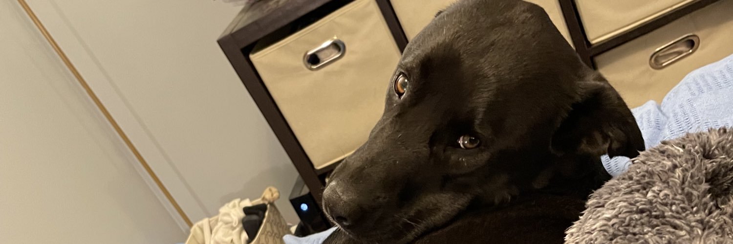 SammApplegate's profile banner image