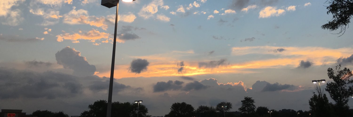 danyellamber's profile banner image