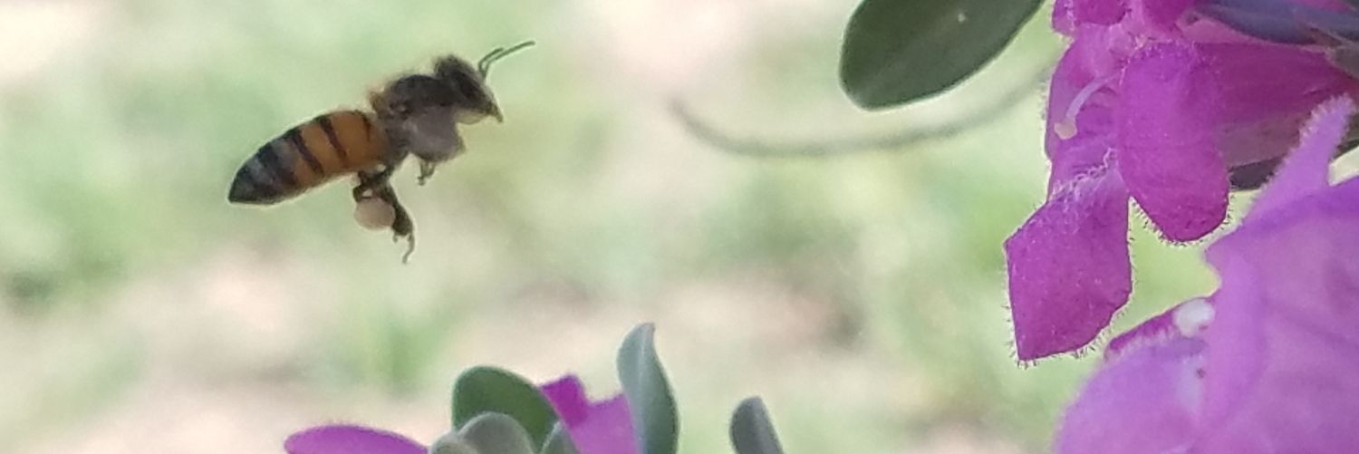 LouWaldrep's profile banner image