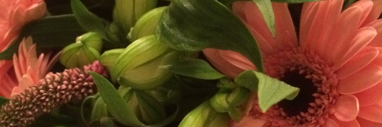 AlexaHelsby's profile banner image
