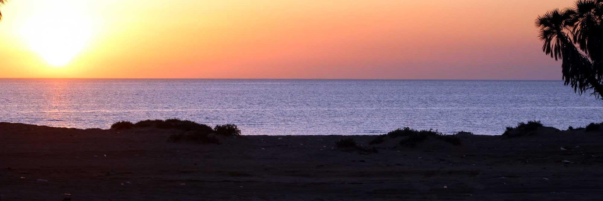 علي بدير banner