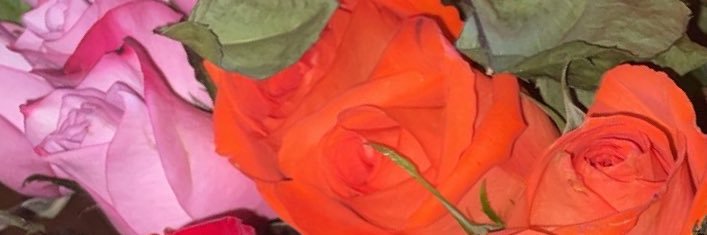 jaz____mine's profile banner image