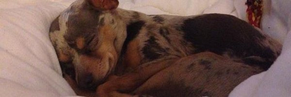 EmmaKeele1 Profile Banner