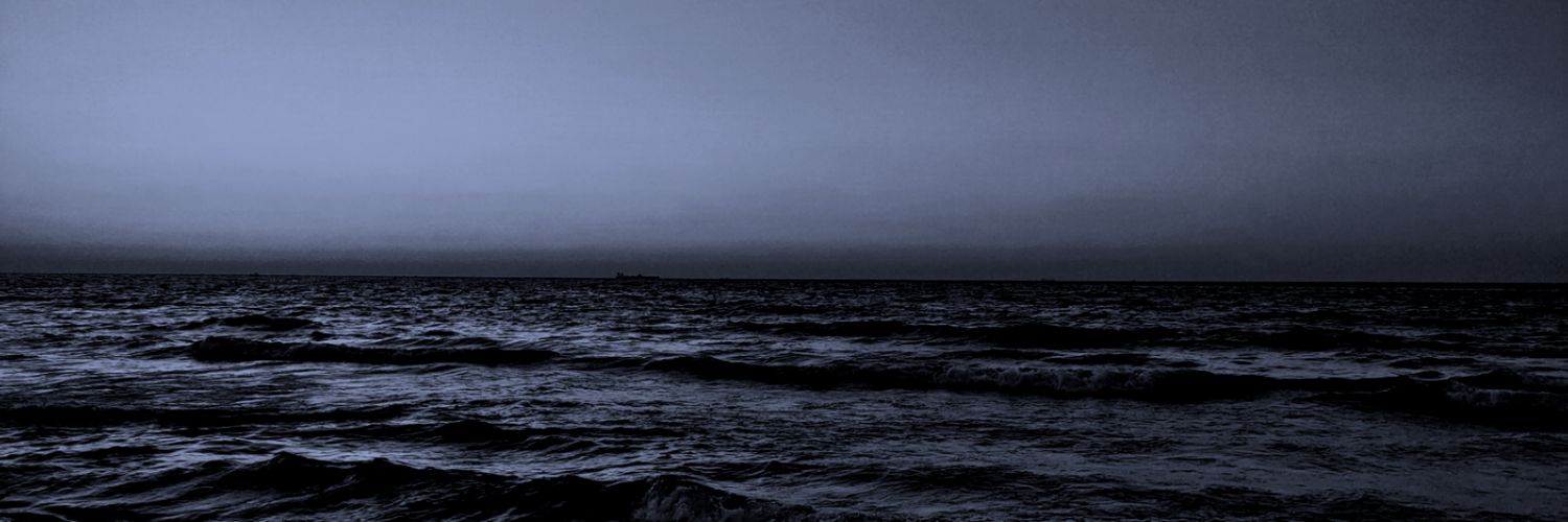 Winged_imposter's profile banner image