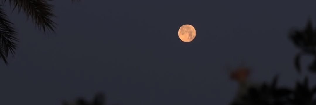 malqureshi2's profile banner image