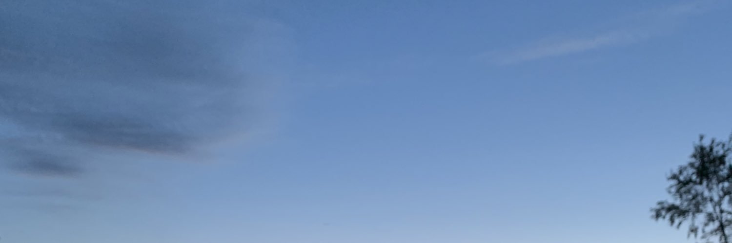 StephneyStrayer's profile banner image