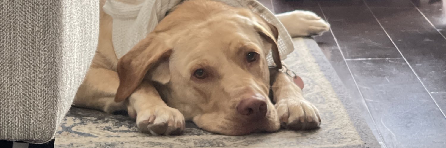 hannahterter's profile banner image