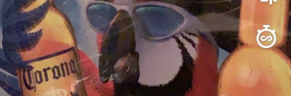 Brady banner