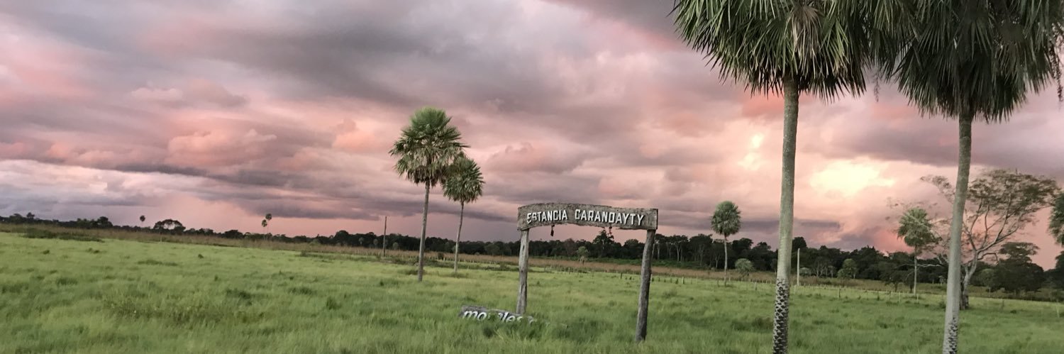 enrijgc's profile banner image