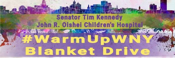 Buffalo CLC AFL-CIO banner