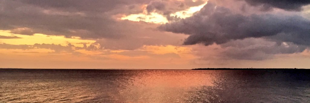 WDpayton's profile banner image