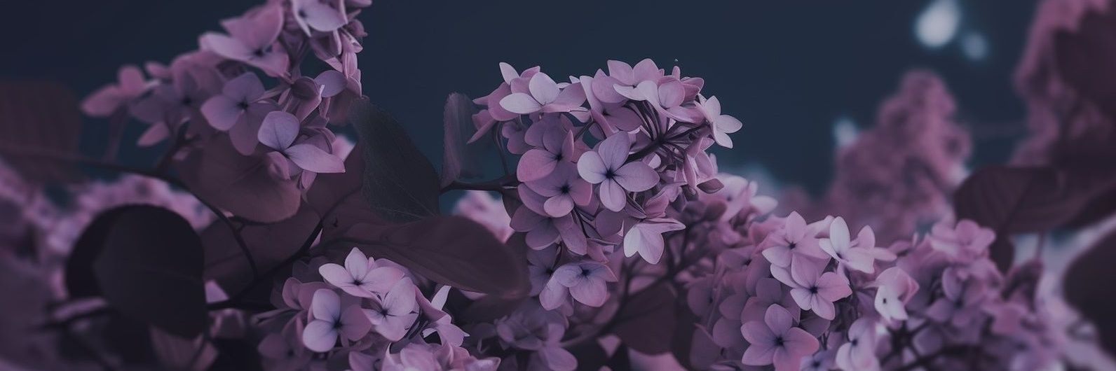 CinOlive13's profile banner image