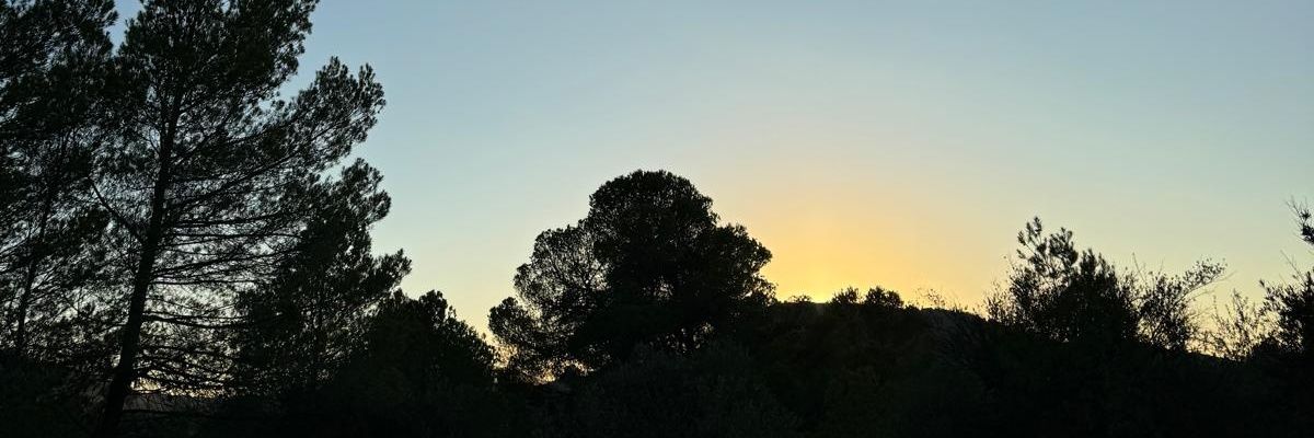 MariaMurciaSanc's profile banner image