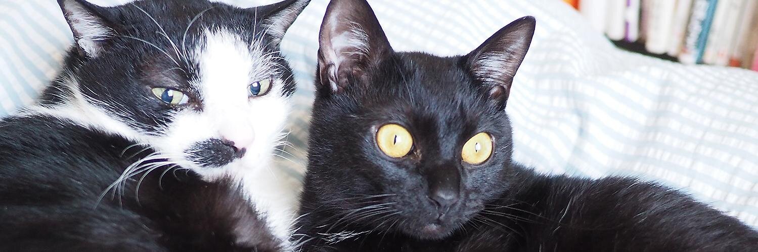 青木る（えか） banner