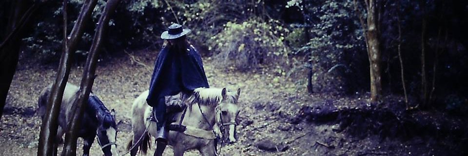 librodelviaje's profile banner image