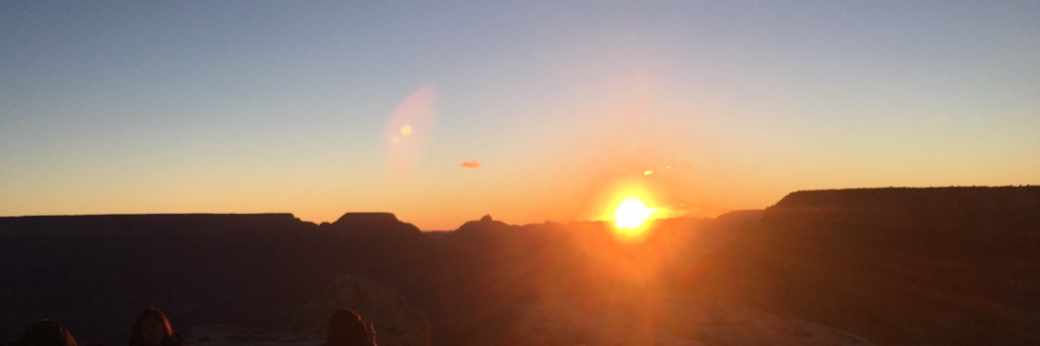 LegoLogu's profile banner image