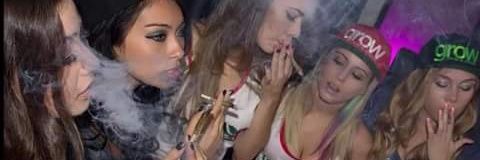 Nicole_Evert's profile banner image