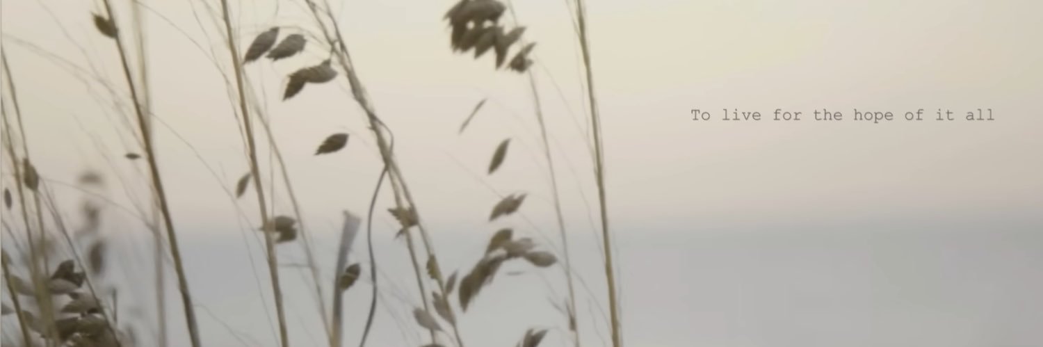 rollyoaks's profile banner image