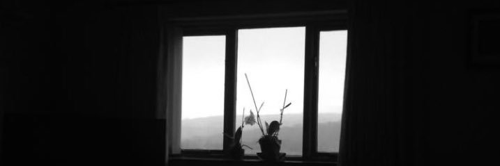 Alex_Hanx's profile banner image