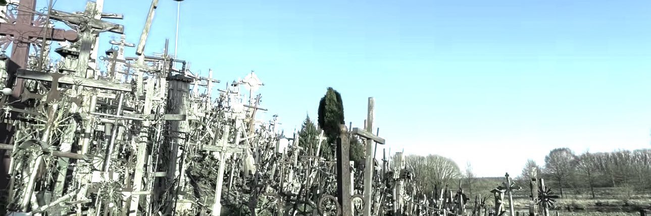cuteostrich15's profile banner image