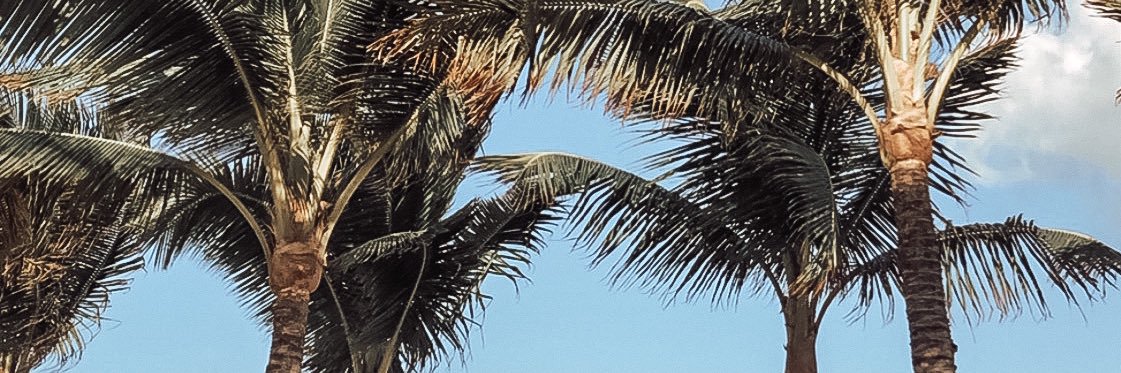 allisonkrapfl's profile banner image