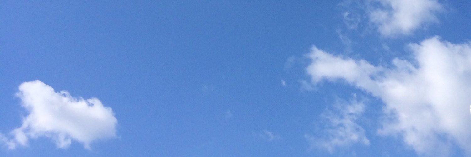 maneki08's profile banner image