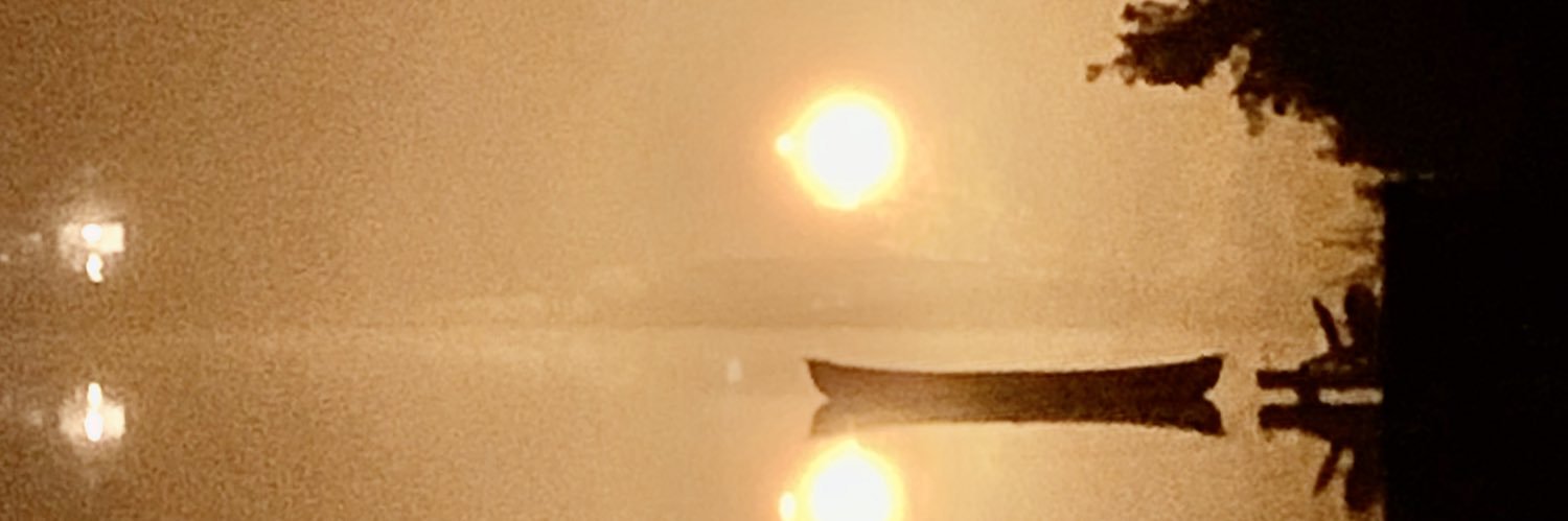 trizard_wizard's profile banner image