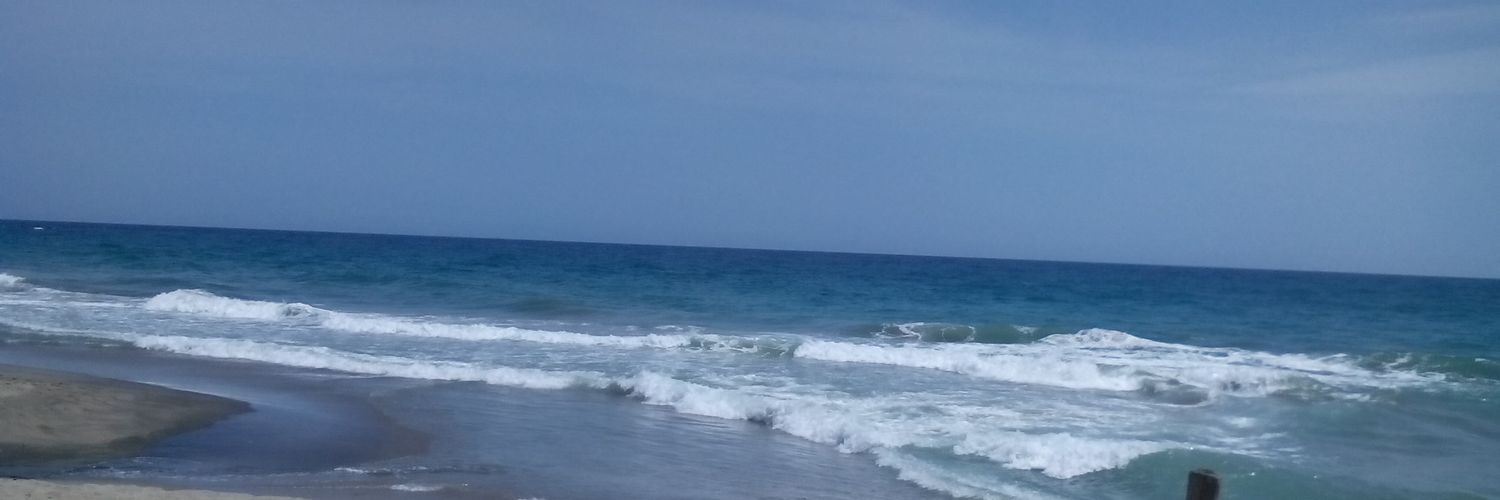 scampomas's profile banner image