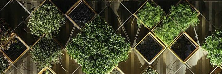LOMY92's profile banner image